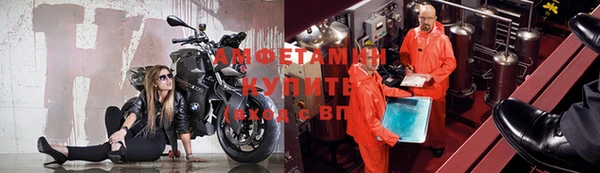 apvp Ельня