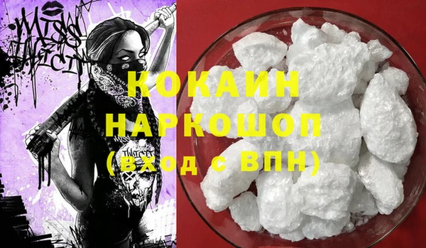 мдпв Дмитриев