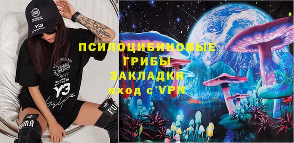 apvp Ельня