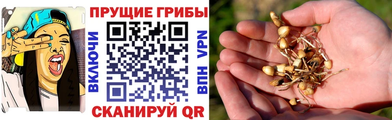 Галлюциногенные грибы Magic Shrooms Коломна