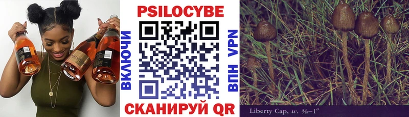 Псилоцибиновые грибы Cubensis  купить наркотик  ОМГ ОМГ ТОР  Коломна 